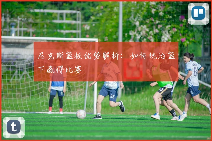 尼克斯篮板优势解析：如何统治篮下赢得比赛