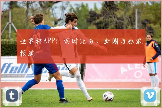 世界杯APP：实时比分、新闻与独家报道