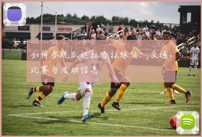 如何参观瓜达拉哈拉球场：交通、比赛与活动信息