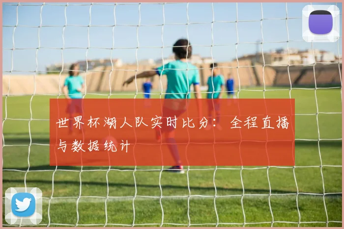 世界杯湖人队实时比分:全程直播与数据统计